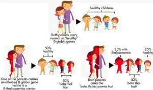 thalassemia inheritance